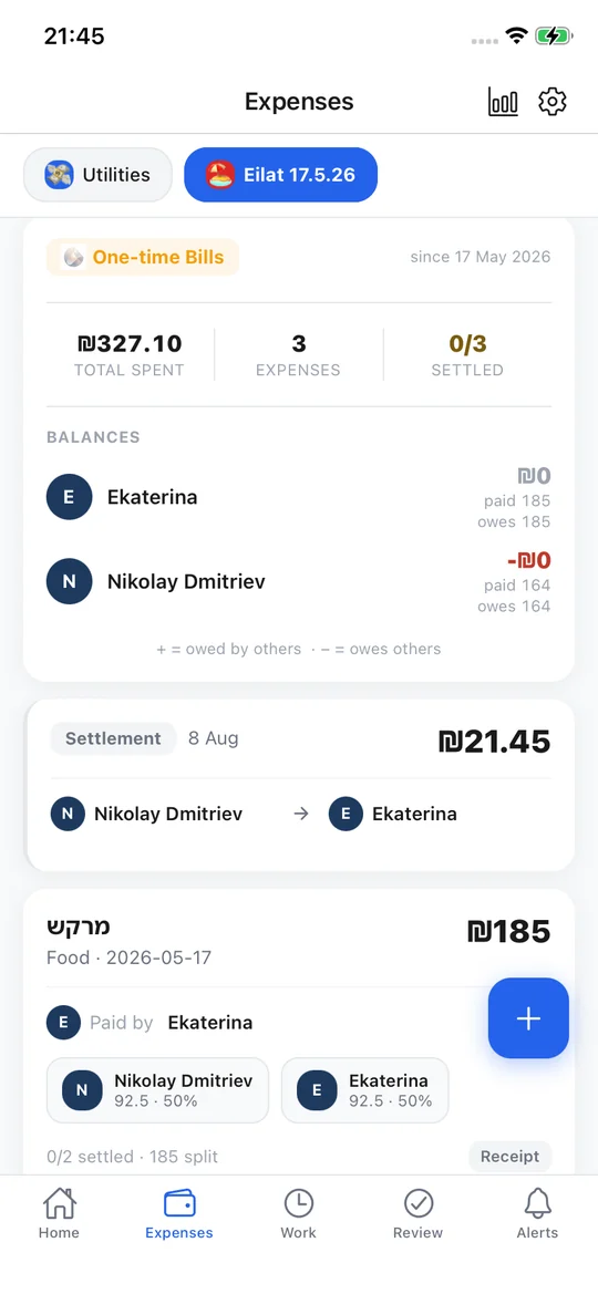 FinancesHub expenses screen: a group's balances and who owes whom