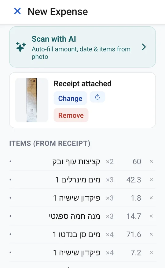 The new expense with every item read from the receipt: names, quantities and prices